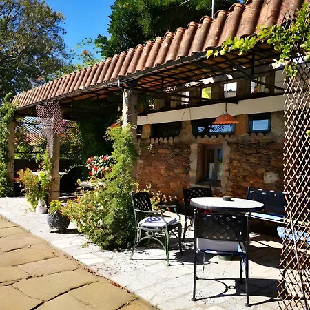 Shakti Rio Mino Villa