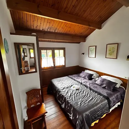 Villa Shakti Rio Mino