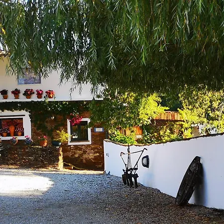 Shakti Rio Mino Villa