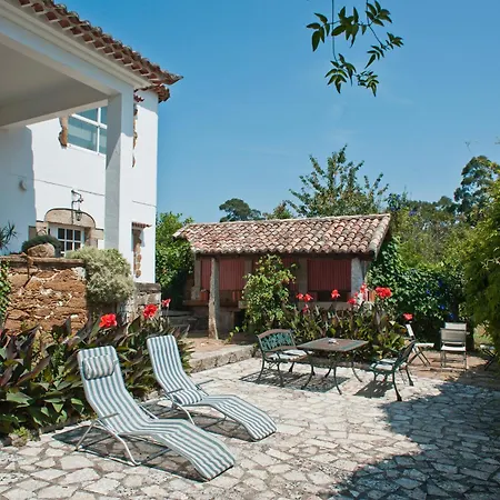 Shakti Rio Mino Eiras