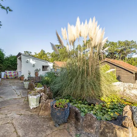Villa Shakti Rio Mino San Bartolomé