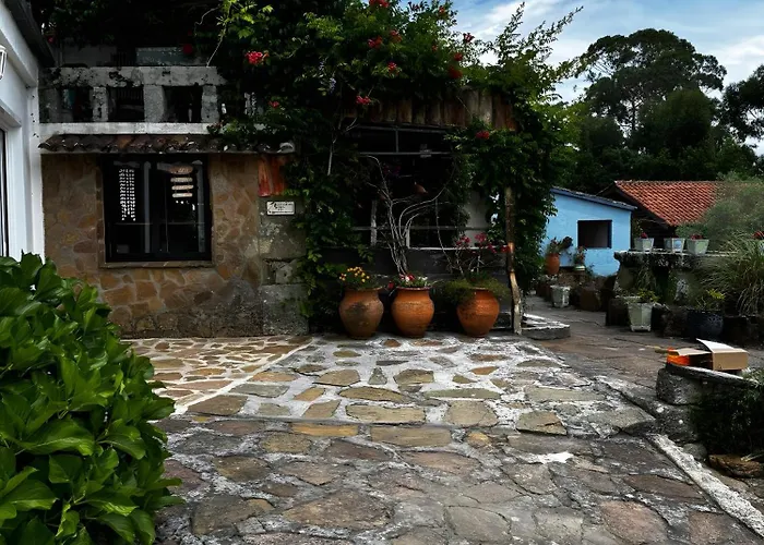 Shakti Rio Mino San Bartolomé