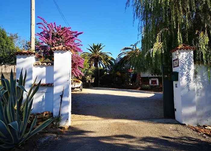 Shakti Rio Mino Βίλα *